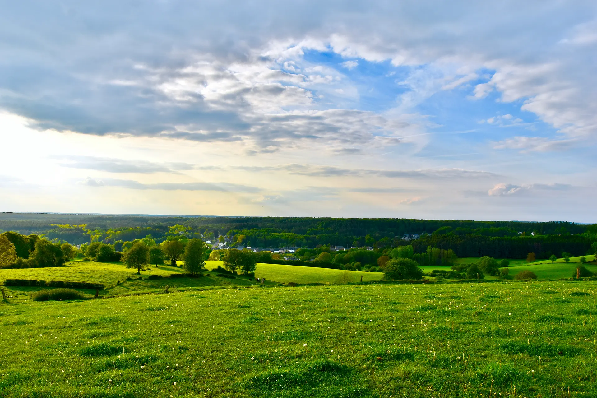 Ausblick Ost-Eifel Belgien