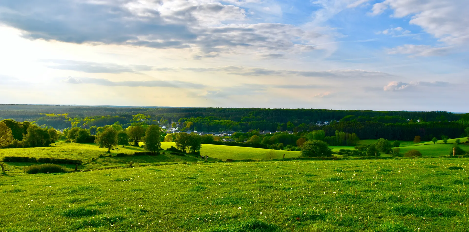Besipielbild Grundstücke in der Eifel