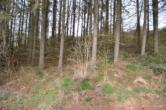 Mehren 12 (2) - Baugrundstück mit Hanglage, Baumbestand, trapezförmiger Zuschnitt, im Wochenendhausgebiet Mehren 12