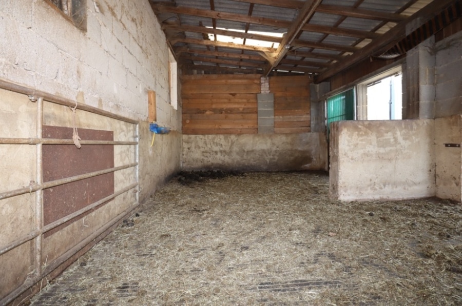 Stall - Voor paardenliefhebbers! Ruime dubbele woning met twee aparte wooneenheden, garages, parkeerplaatsen, paardenstallen etc.Met een grote schuur en tuinhuis. Te Steffeln (12)