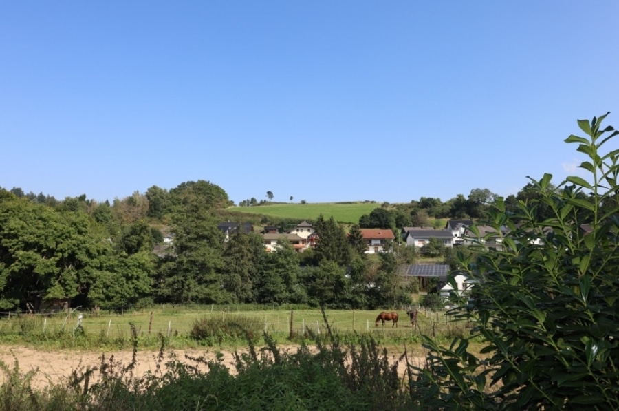 Weide - Voor paardenliefhebbers! Ruime dubbele woning met twee aparte wooneenheden, garages, parkeerplaatsen, paardenstallen etc.Met een grote schuur en tuinhuis. Te Steffeln (12)