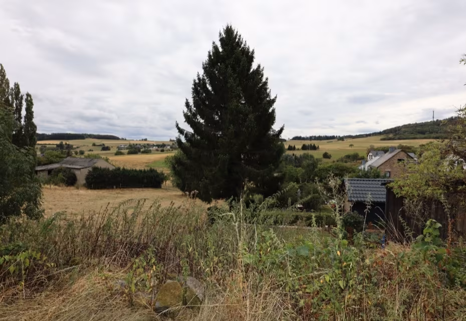 Aussicht