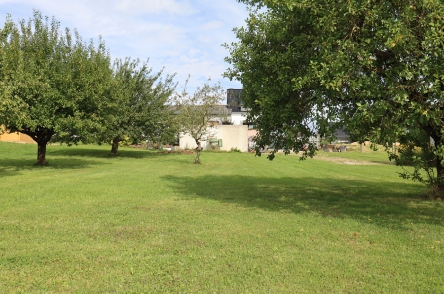 Garten - Ruime bungalow met tuin en garage te Üxheim-Leudersdorf (10)