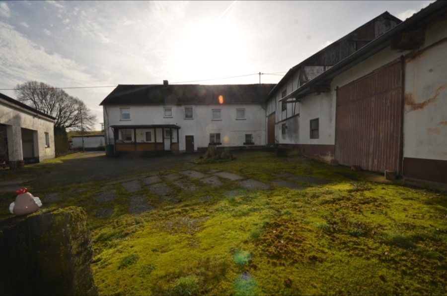 Ehemaliges Bauernhaus mit großem Gartengrundstück, Scheune, Stall und großer Carport, Steiningen (4) - Hof
