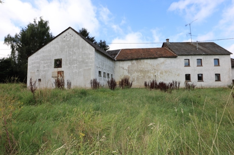 Ormont_09 - Te renoveren -voormalige- boerderij met schuur en groot perceel, te Ormont (5)