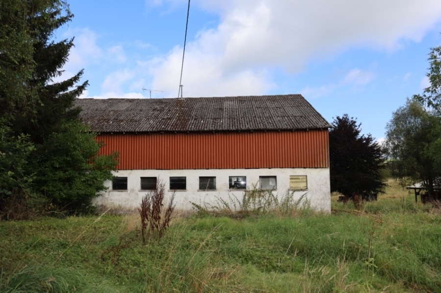 Ormont_06 - Te renoveren -voormalige- boerderij met schuur en groot perceel, te Ormont (5)