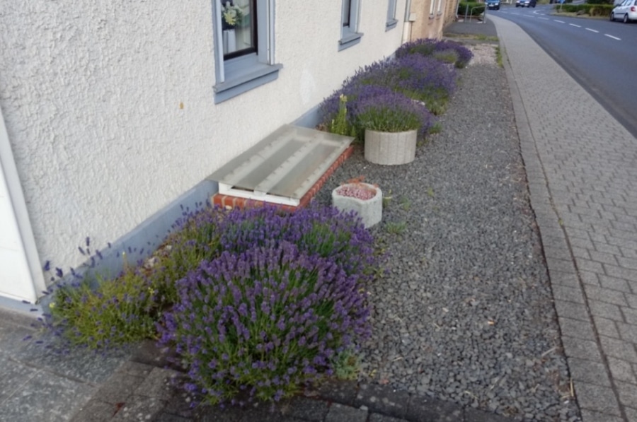 Straßenansicht - Gezellige ruime eengezinswoning met grote tuin, Jünkerath 49