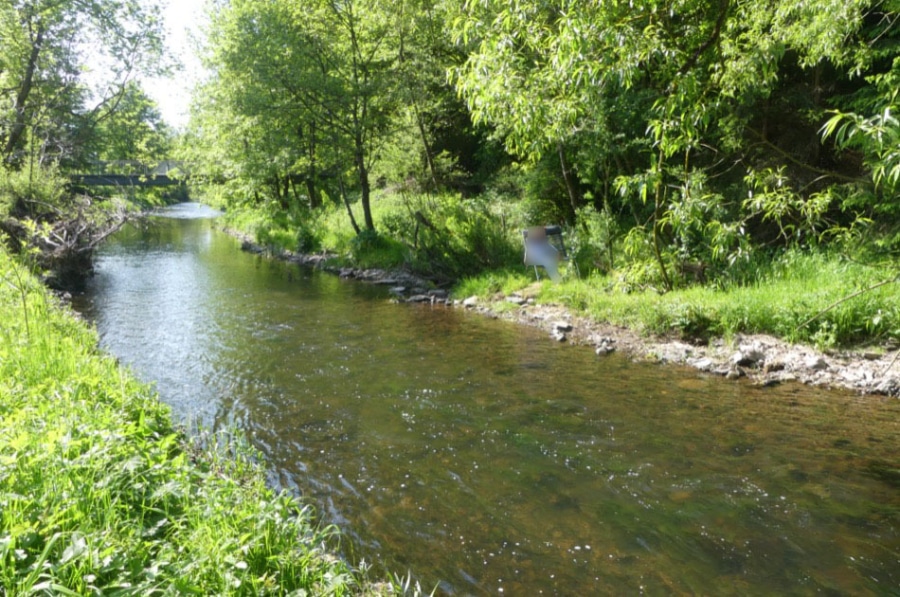 Wassergrundstück an der Kyll - Gemütliches geräumiges Einfamilienhaus mit großem Garten, Jünkerath 49