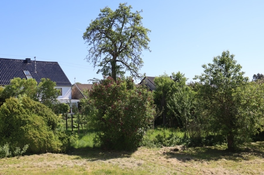 Ehemaliges Eifler Bauernhaus mit Scheune, Garage, Terrasse, Wintergarten und Garten, Berndorf (9) - Garten