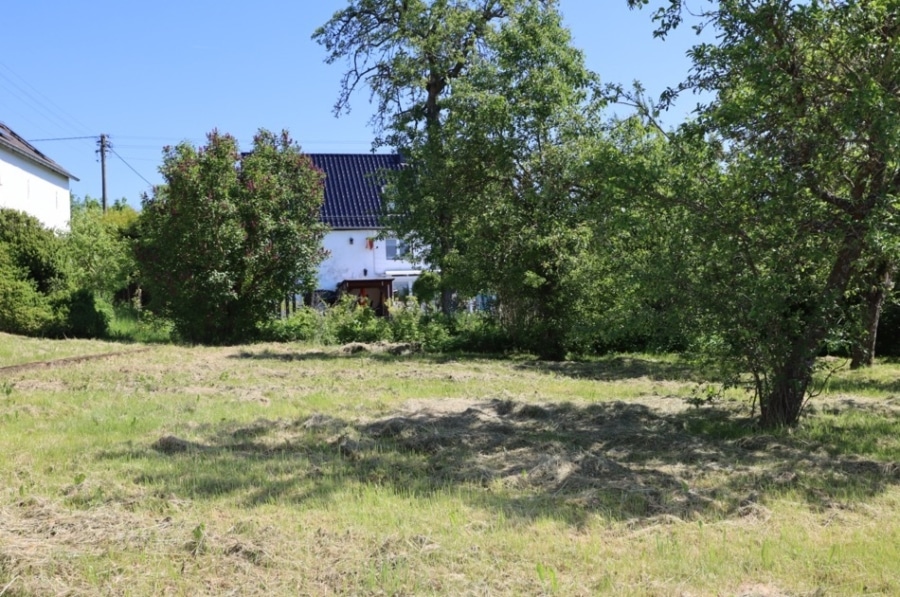 Ehemaliges Eifler Bauernhaus mit Scheune, Garage, Terrasse, Wintergarten und Garten, Berndorf (9) - Garten