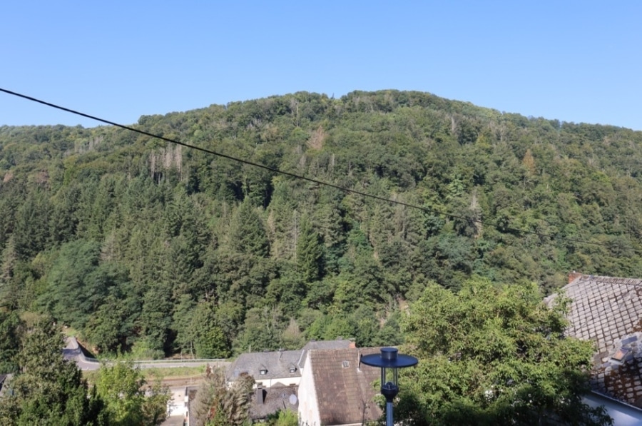 Aussicht - Prachtige eengezinswoning met dubbele garage en werkelijk fantastisch uitzicht, Auw an der Kyll