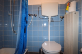 Bad - Eifeler Bauernhaus in ruhiger Lage mit Stall, Scheune und schönem Garten Wallenborn (8)
