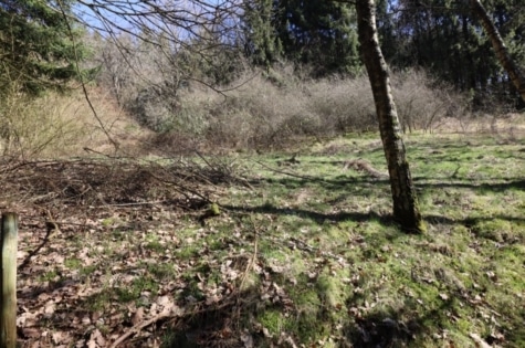 Baugrundstück mit Hanglage und trapetzförmigem Zuschnitt, im Wochenendhausgebiet„Im Hasental“ Mehren, 54552 Mehren, Grundstück