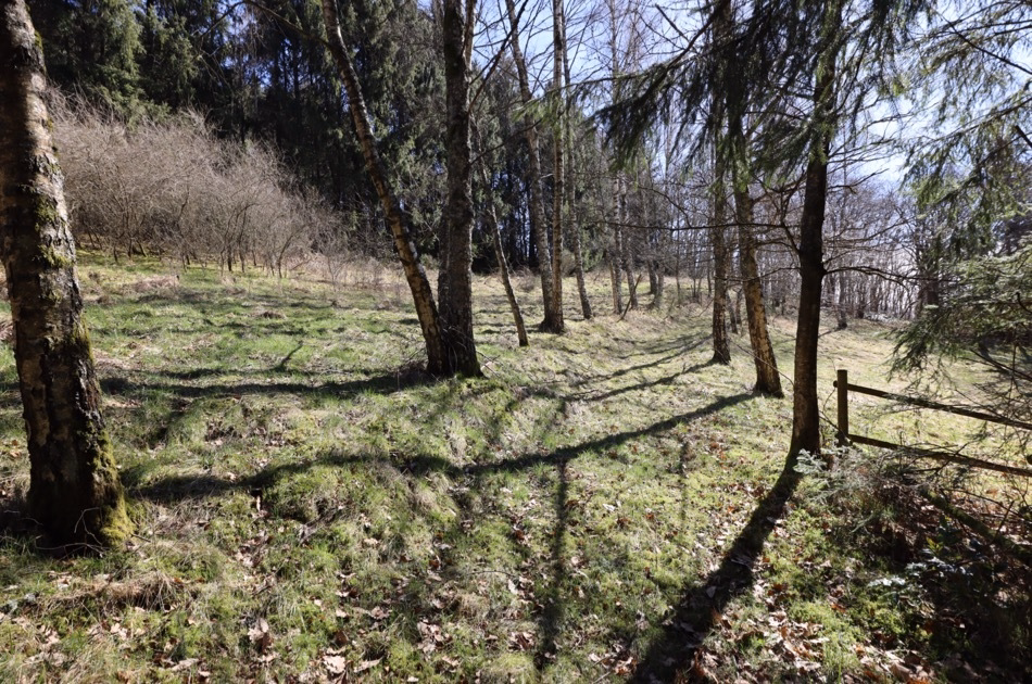 Baugrundstück mit Hanglage und trapetzförmigem Zuschnitt, im Wochenendhausgebiet„Im Hasental“ Mehren