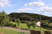 Aussicht - Großes Wohnhaus mit 10 Schlafzimmern, Garten und Garage in Dorfrandlage, Zendscheid
