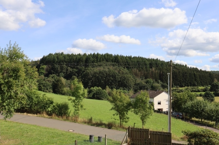 Aussicht - Großes Wohnhaus mit 10 Schlafzimmern, Garten und Garage in Dorfrandlage, Zendscheid