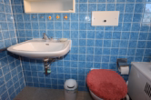 Bad EG - Gezellig huis met subliem uitzicht, tuin en grote garage, te Esch (15)