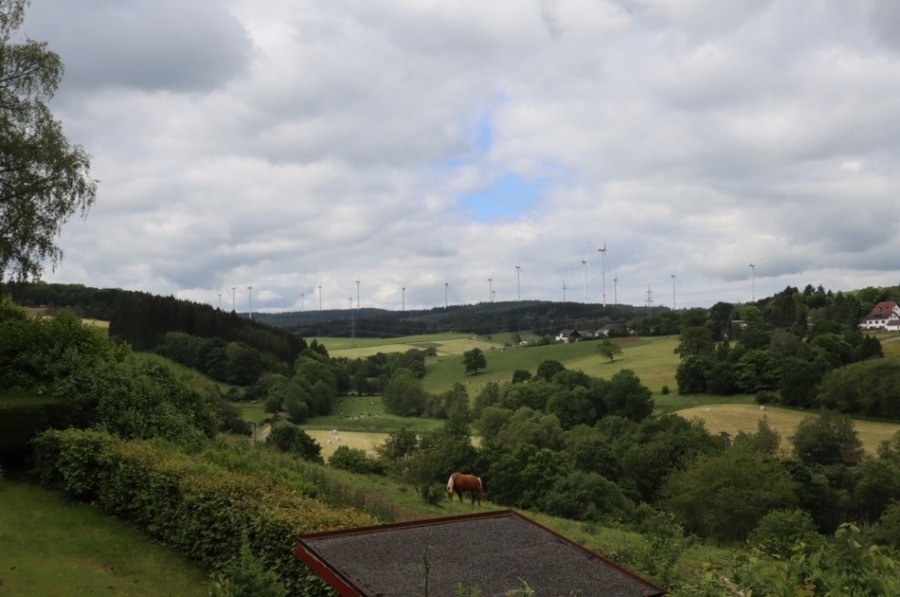 Aussicht - **VERKAUFT**Gemütliches Nurdach-Ferienhaus mit Garten, Terrasse und überdachtem Sitzplatz, Kerschenbach (12)