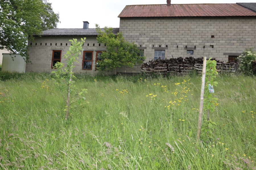 Rückseite Nebengebäude - Voormalige Boerderij met veel extra ruimtes, bijgebouwen en grote, ruime, tuin te Höchstberg (2)