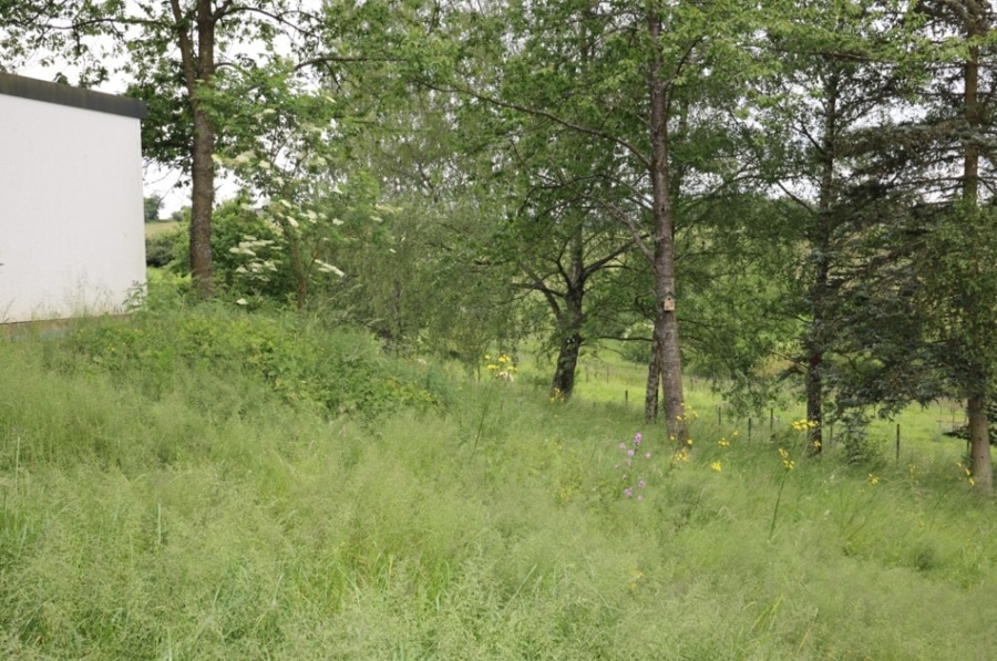 Hinterland - Voormalige Boerderij met veel extra ruimtes, bijgebouwen en grote, ruime, tuin te Höchstberg (2)