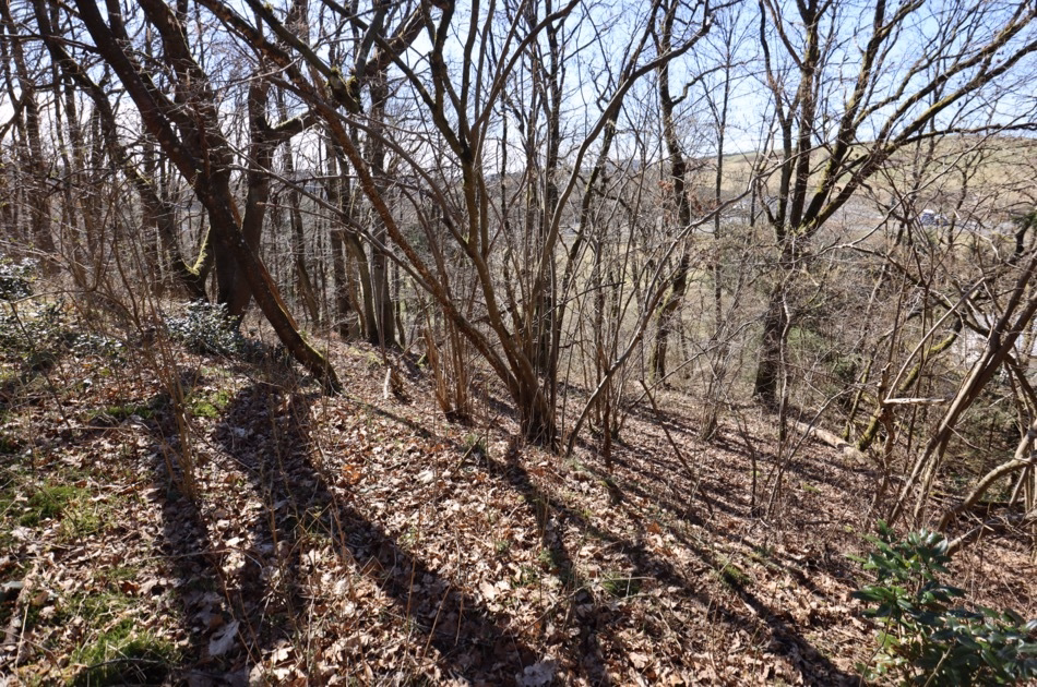 Baugrundstück mit Hanglage und Baumbestand, rechteckiger Zuschnitt, im Wochenendhausgebiet Mehren14
