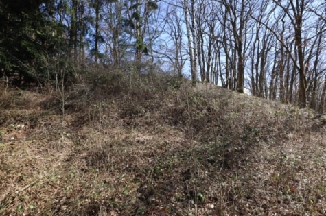 Bouwgrondstuk met helling en bomen, rechthoekige indeling, in het weekendhuis gebied “Im Hasental” Mehren (14), 54552 Mehren, Grundstück