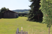 Garten - Gepflegter Bungalow mit Garage, Terrasse und Garten Büdesheim (2)