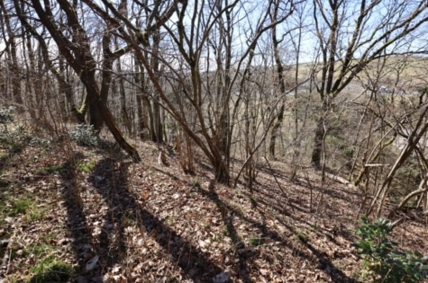 Baugrundstück mit Hanglage und Baumbestand, dreieckiger Zuschnitt, im Wochenendhausgebiet Mehren, 54552 Mehren, Grundstück