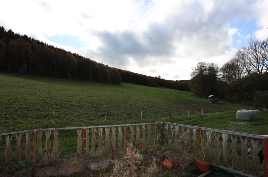 Aussicht - Eengezinswoning/Meergezinswoning met aanleunwoning, garages en ruime tuin aan de rand van Gees (7)