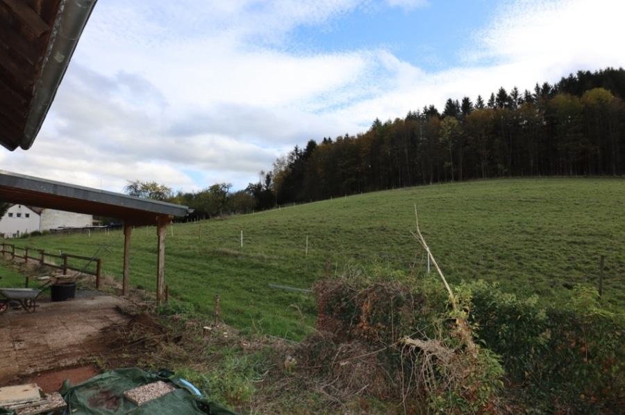 Aussicht - Eengezinswoning/Meergezinswoning met aanleunwoning, garages en ruime tuin aan de rand van Gees (7)