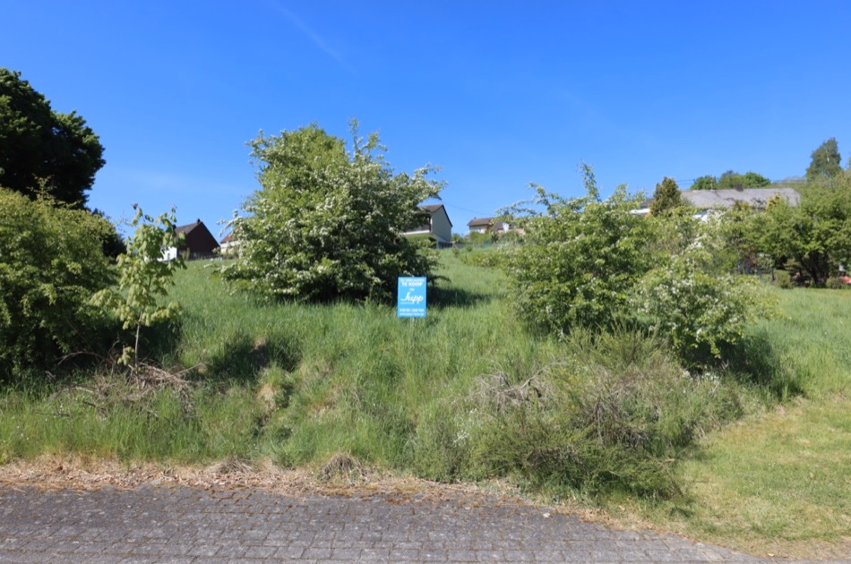 Baugrundstück mit polygonem Zuschnitt, Gönnersdorf (28)