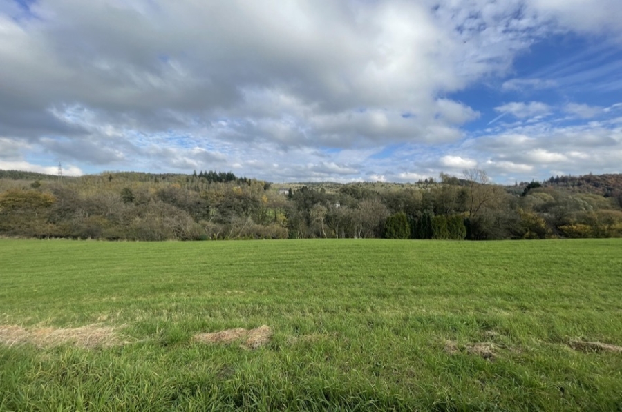 Aussicht - Baugrundstück mit viereckigem Zuschnitt und schöner Aussicht, Gönnersdorf (27)