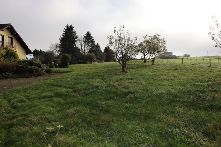 Garten - Mooie, grote, eengezinswoning met tuin, schuur met garage en dubbele garage, Üxheim-Leudersdorf (11)