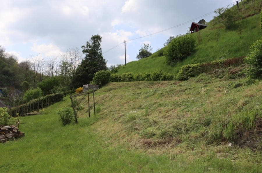 Monreal - Baugrundstück unterhalb der Monrealer Löwenburg, Monreal