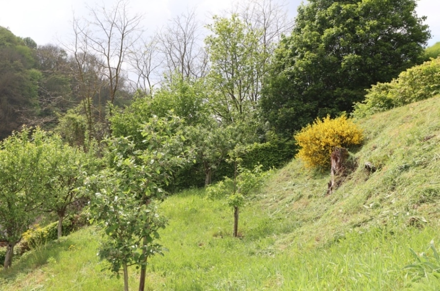 Monreal - Baugrundstück unterhalb der Monrealer Löwenburg, Monreal