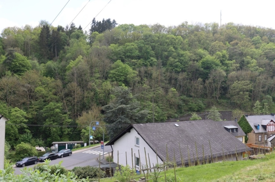 Monreal - Baugrundstück unterhalb der Monrealer Löwenburg, Monreal