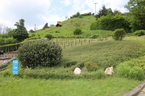 Baugrundstück unterhalb der Monrealer Löwenburg, Monreal, 56729 Monreal, Wohngrundstück