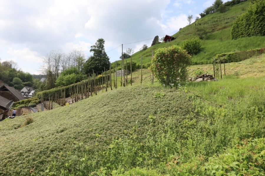 Monreal - Baugrundstück unterhalb der Monrealer Löwenburg, Monreal