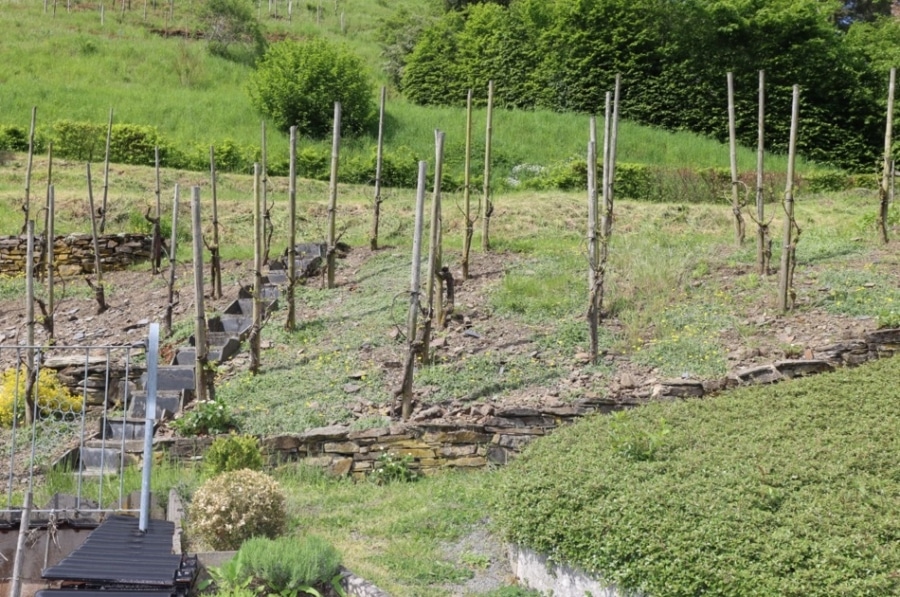 Monreal - Baugrundstück unterhalb der Monrealer Löwenburg, Monreal