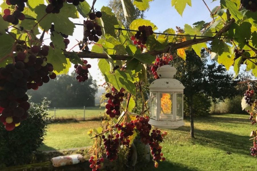 Garten - Charmantes, modernisiertes Bauernhaus mit zusätzlichem Bauland in Ulmen, Vorpochten