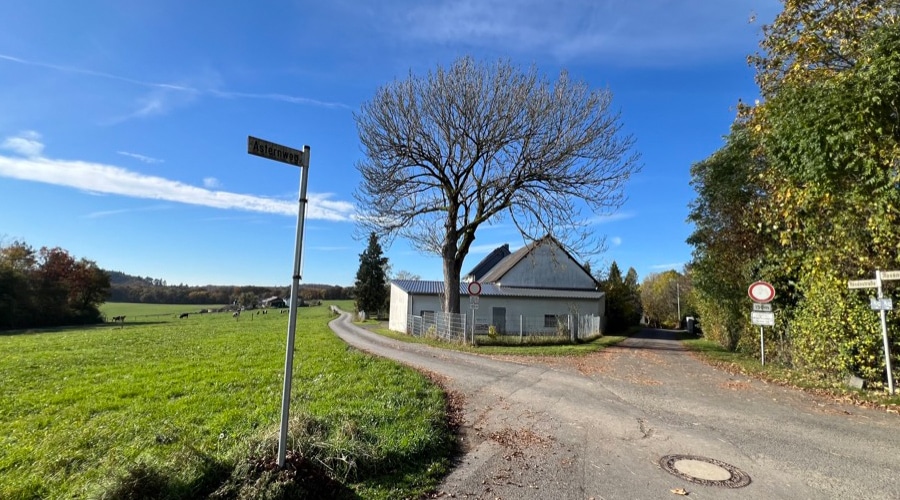 Erschließende Straße - Charmantes, modernisiertes Bauernhaus mit zusätzlichem Bauland in Ulmen, Vorpochten