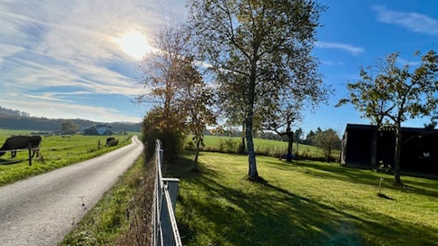 Garten - Charmantes, modernisiertes Bauernhaus mit zusätzlichem Bauland in Ulmen, Vorpochten